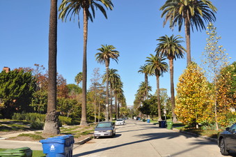 Enlarge photo 2