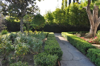 Enlarge photo 8