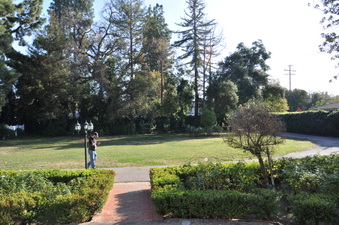 Enlarge photo 10