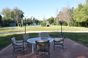 Enlarge photo 84