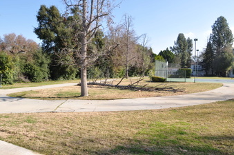 Enlarge photo 110