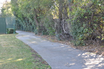 Enlarge photo 111