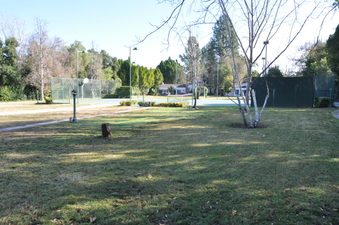 Enlarge photo 112