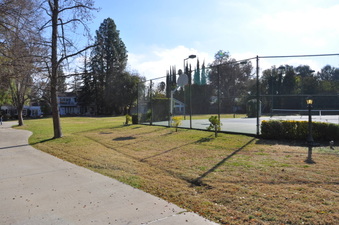 Enlarge photo 113