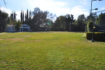 Enlarge photo 114
