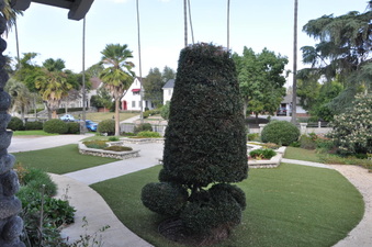 Enlarge photo 8