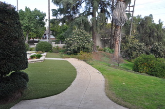 Enlarge photo 9