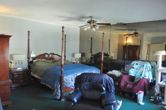 Enlarge photo 57
