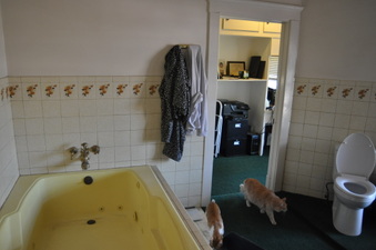 Enlarge photo 63