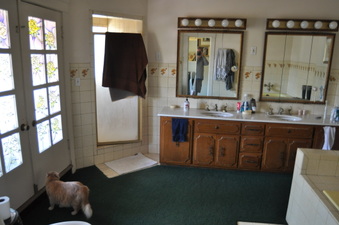 Enlarge photo 65
