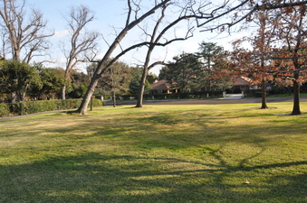 Enlarge photo 92