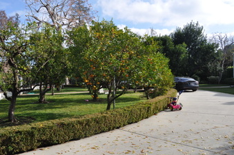 Enlarge photo 4