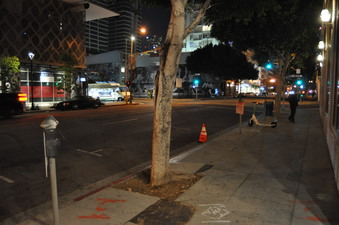 Enlarge photo 11