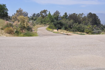 Enlarge photo 36