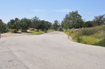 Enlarge photo 37