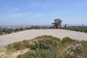 Enlarge photo 38