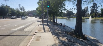 Enlarge photo 11