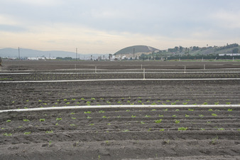 Enlarge photo 13