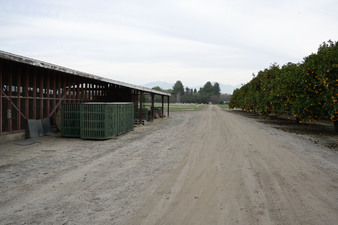Enlarge photo 17