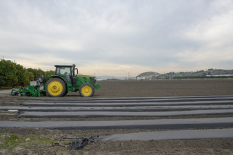 Enlarge photo 29