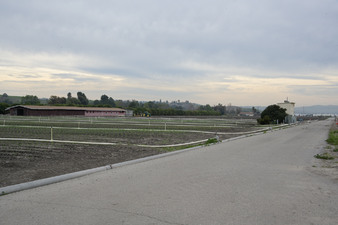 Enlarge photo 30