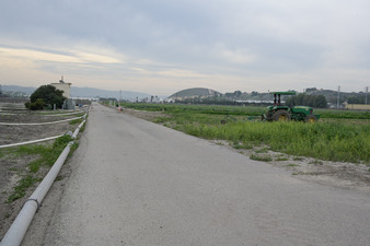 Enlarge photo 22