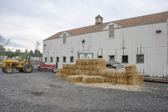 Enlarge photo 6