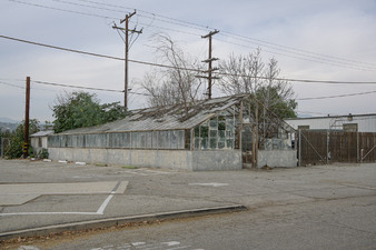 GREENHOUSE