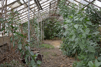Enlarge photo 3