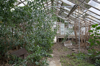 Enlarge photo 5
