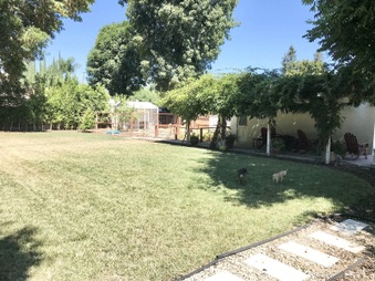 Enlarge photo 2