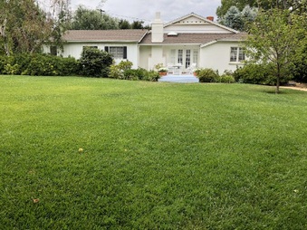 Enlarge photo 5