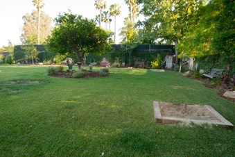 Enlarge photo 10