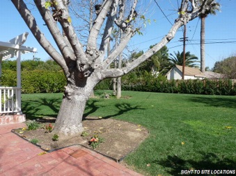 Enlarge photo 2