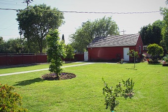 Enlarge photo 4
