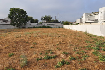 Enlarge photo 2