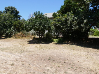 Enlarge photo 5