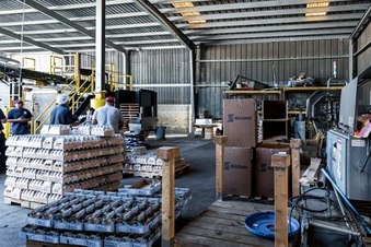 Enlarge photo 32