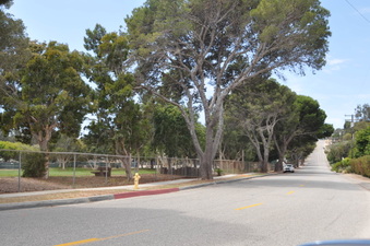 Enlarge photo 12