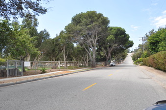 Enlarge photo 14