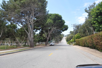 Enlarge photo 16