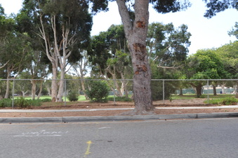 Enlarge photo 17