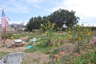 Enlarge photo 2