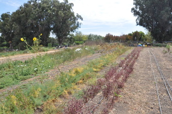 Enlarge photo 5