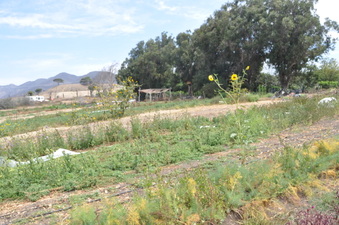 Enlarge photo 6