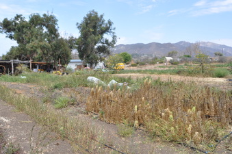 Enlarge photo 7
