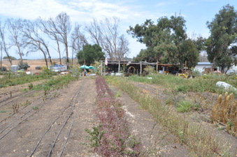 Enlarge photo 8