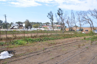 Enlarge photo 9