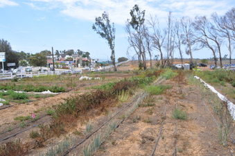 Enlarge photo 10