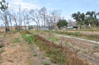 Enlarge photo 11